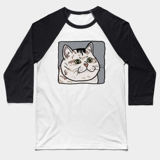 Sad cat Baseball T-Shirt